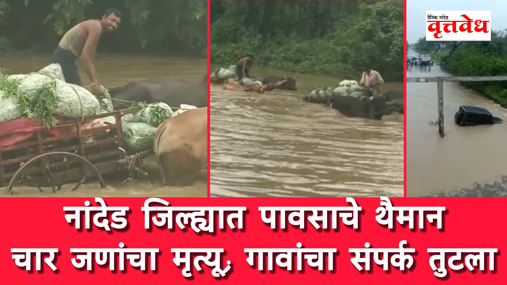 नांदेड जिल्ह्यात अतिवृष्टीचे थैमान; वृद्ध  दांपत्यासह ४ जणांचा मृत्यू; अनेक गावांचा संपर्क तुटला, घरांमध्ये शिरले पाणी